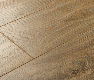 4005 Дуб Аси | Ламинат Camsan | Avangard