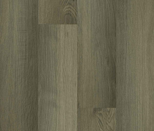 Дуб Древний лес | 0-005 | HOME EXPERT Кварцевый ламинат